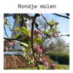 Rondje molen